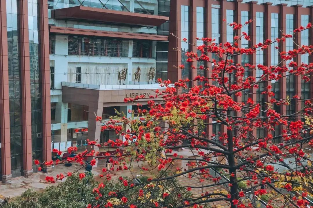 校园建筑